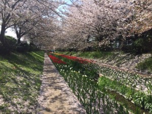 近くの川